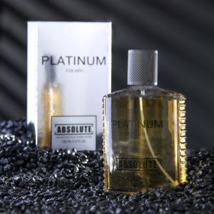 Туалетная вода мужская Absolute Platinum, 100 мл (по мотивам Egoiste Platinum (Chanel) (цены, отзывы, описание)