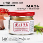 Мазь натуральная заживляющая Живица и мухомор, «Святая рука», 30 мл (цены, отзывы, описание)